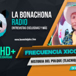 La Historia del Pulque - Tlachiquero de Hidalgo