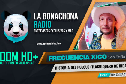 La Historia del Pulque - Tlachiquero de Hidalgo