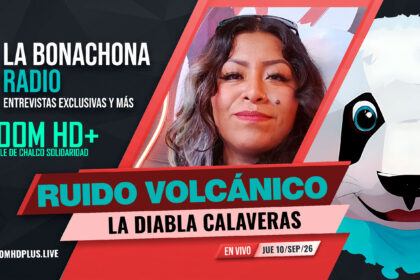 Contenidos y Programas